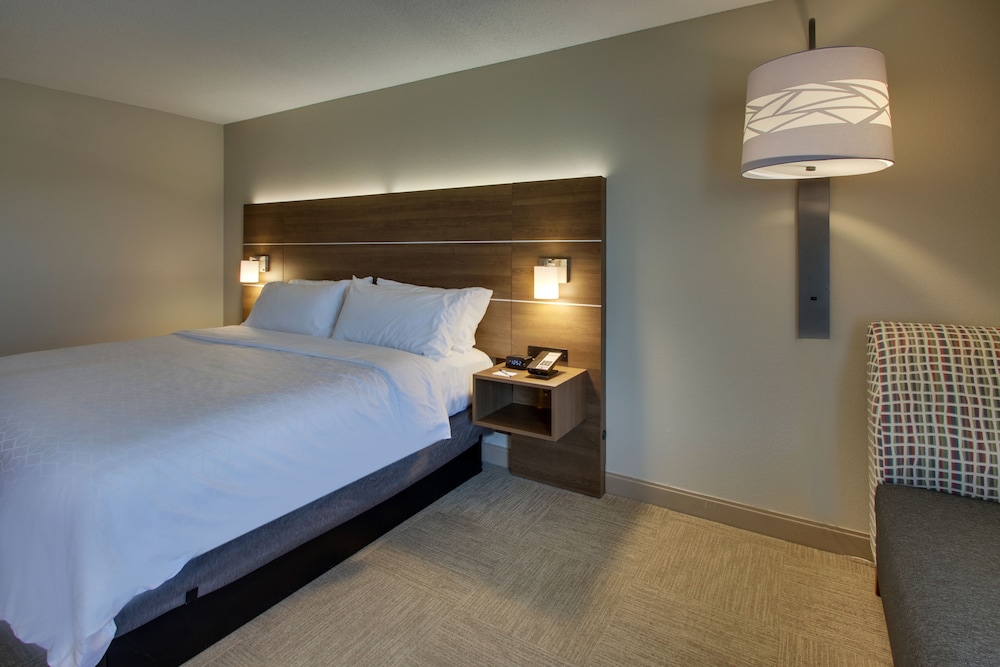 Standard Room, 1 King Bed, Accessible (Communications) - Photo 7