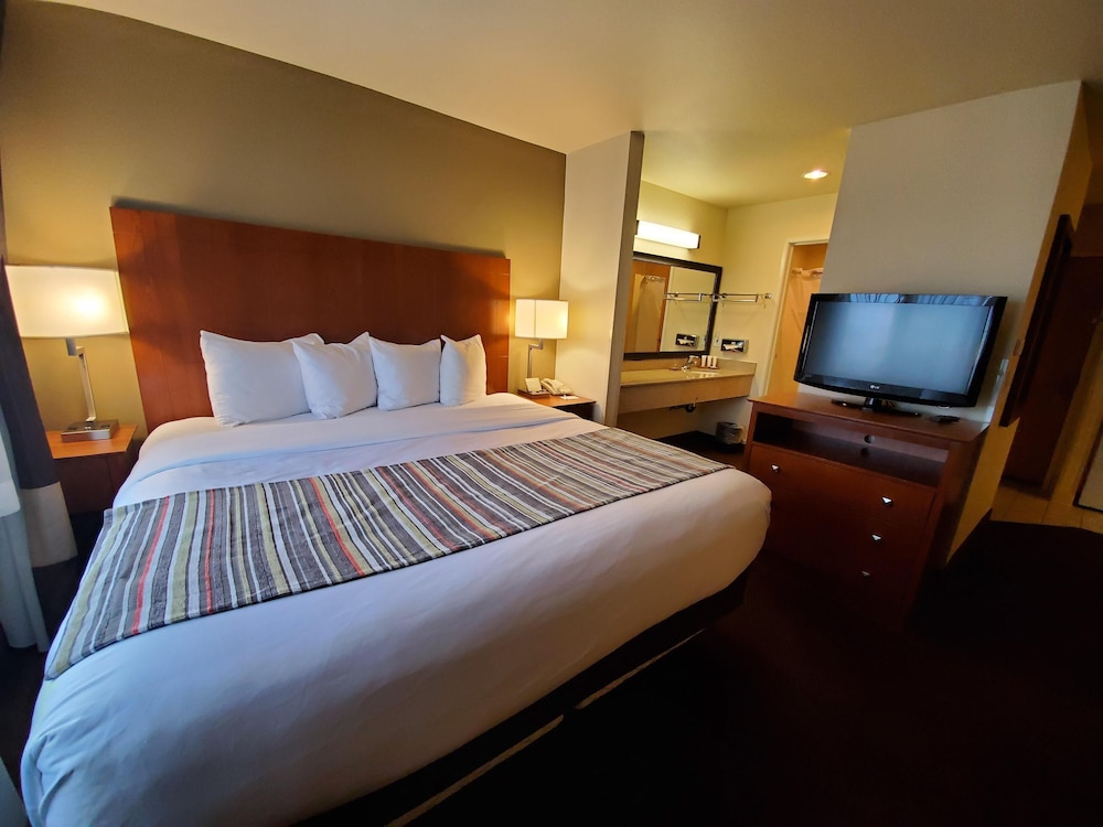 Suite, 1 Bedroom, Non Smoking - Photo 7