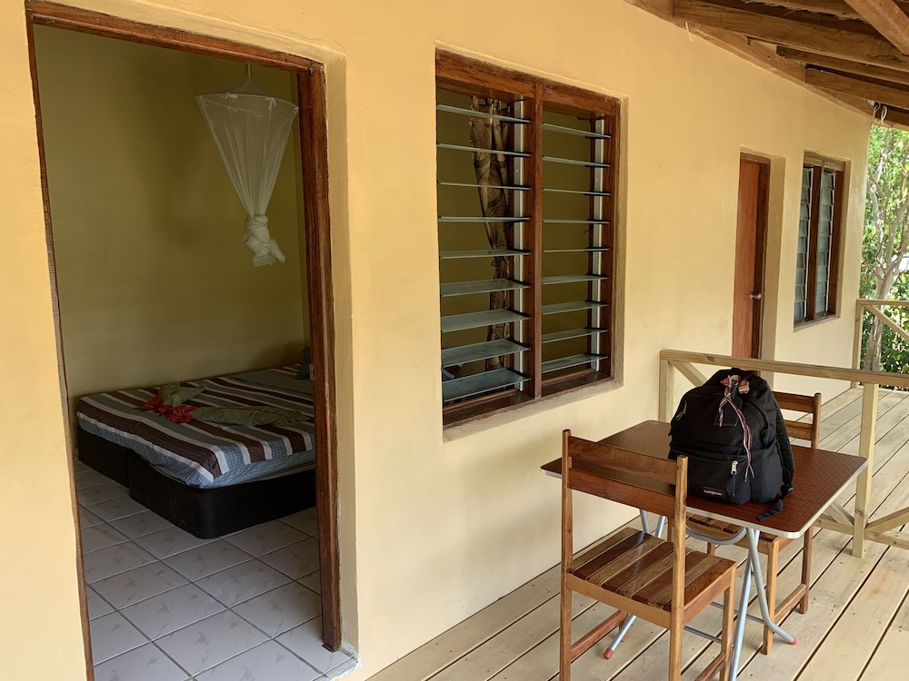 Villa (Palm) photo 1
