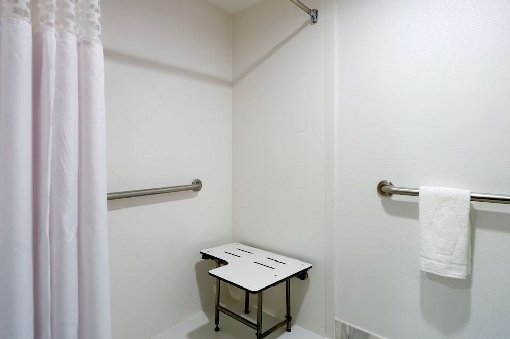 Room, 1 King Bed, Accessible (Mobility & Hearing, Roll-In Shower)