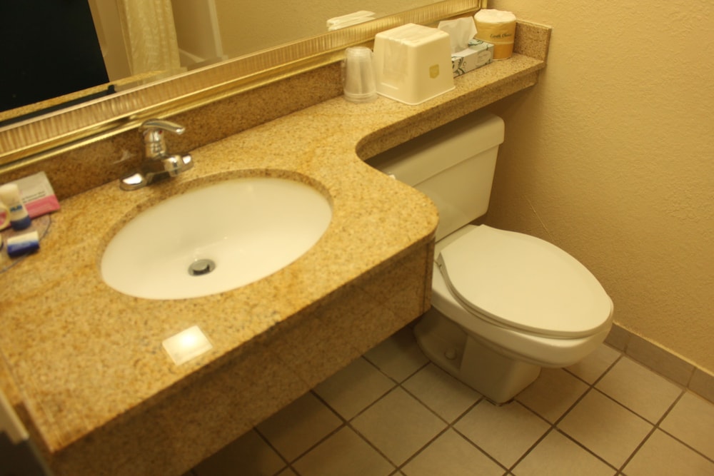 Standard Room, 1 King Bed, Accessible, Bathtub - Photo 6