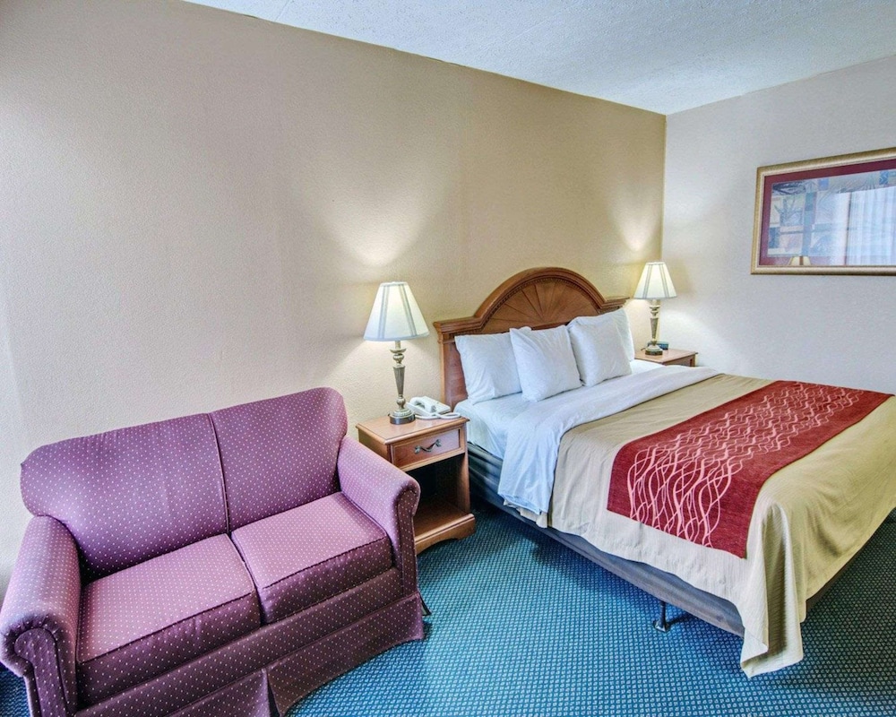 Standard Room, 1 King Bed, Non Smoking - Photo 3