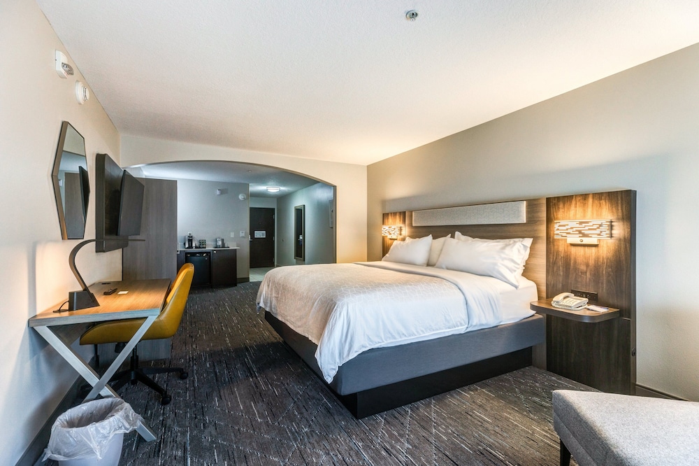 Suite, 1 King Bed, Accessible (Comm, Transfer Shower) - Photo 1