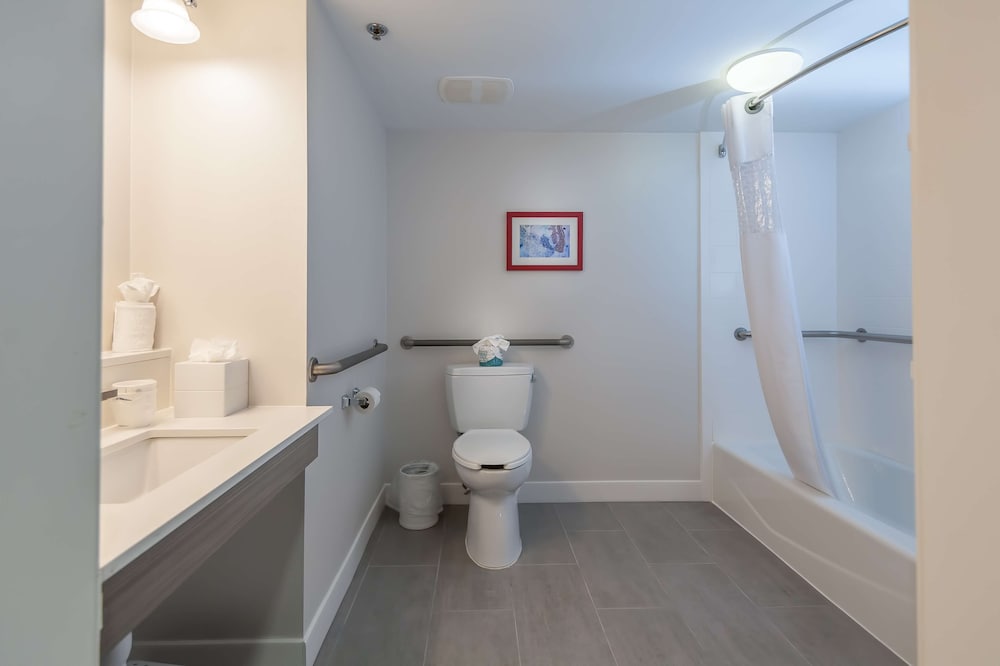 Room, 1 Queen Bed, Non Smoking (Mobility Hearing Accessible w/ Tub) - Photo 10