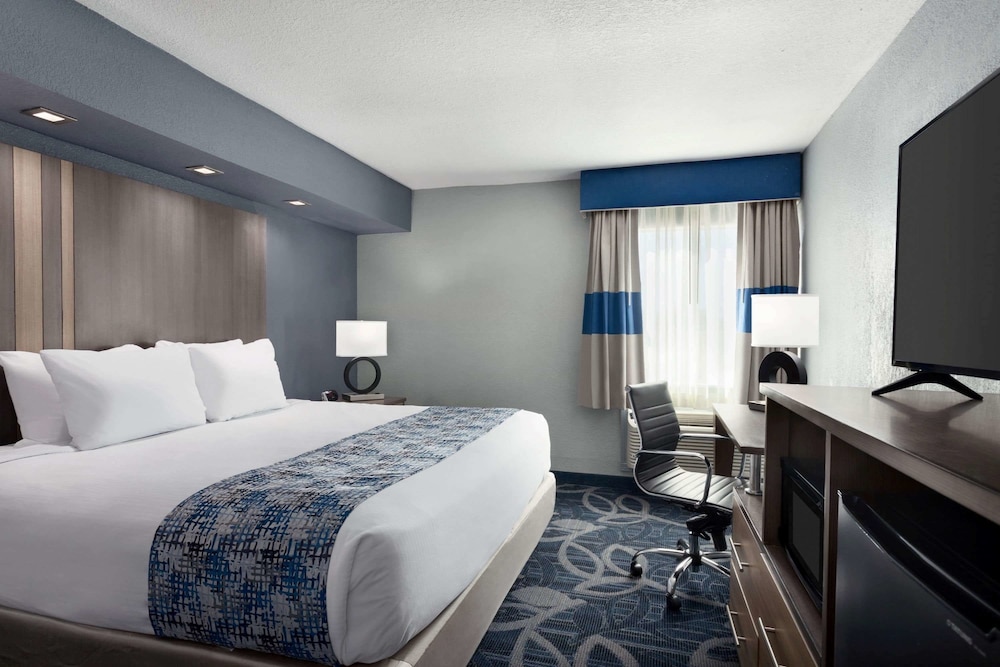 Suite, 1 King Bed, Non Smoking photo 3