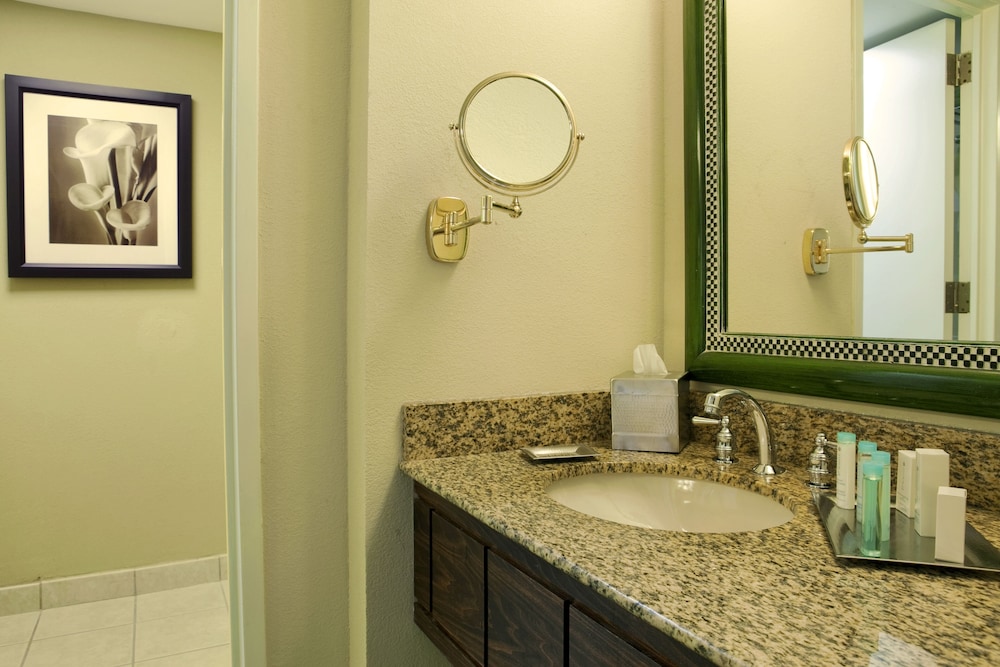 Deluxe Room, 1 King Bed, Accessible (Roll-In Shower)