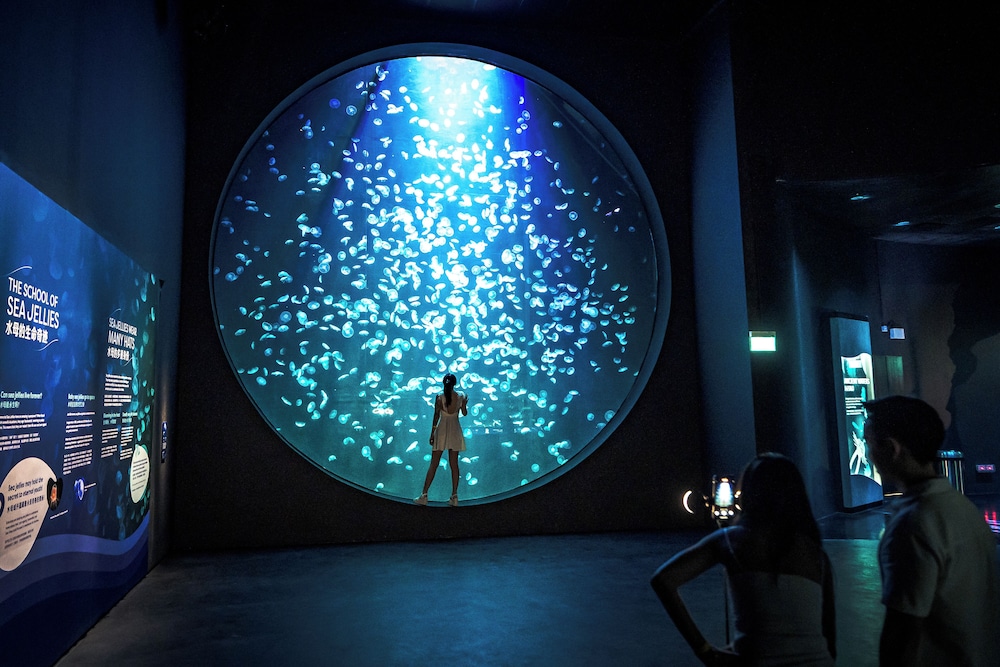 3D2N Seas The Day - Deluxe Room with Singapore Oceanarium Tickets for 2 persons 3D2N Seas The Day - Deluxe Room with Singapore Oceanarium Tickets for 2 persons