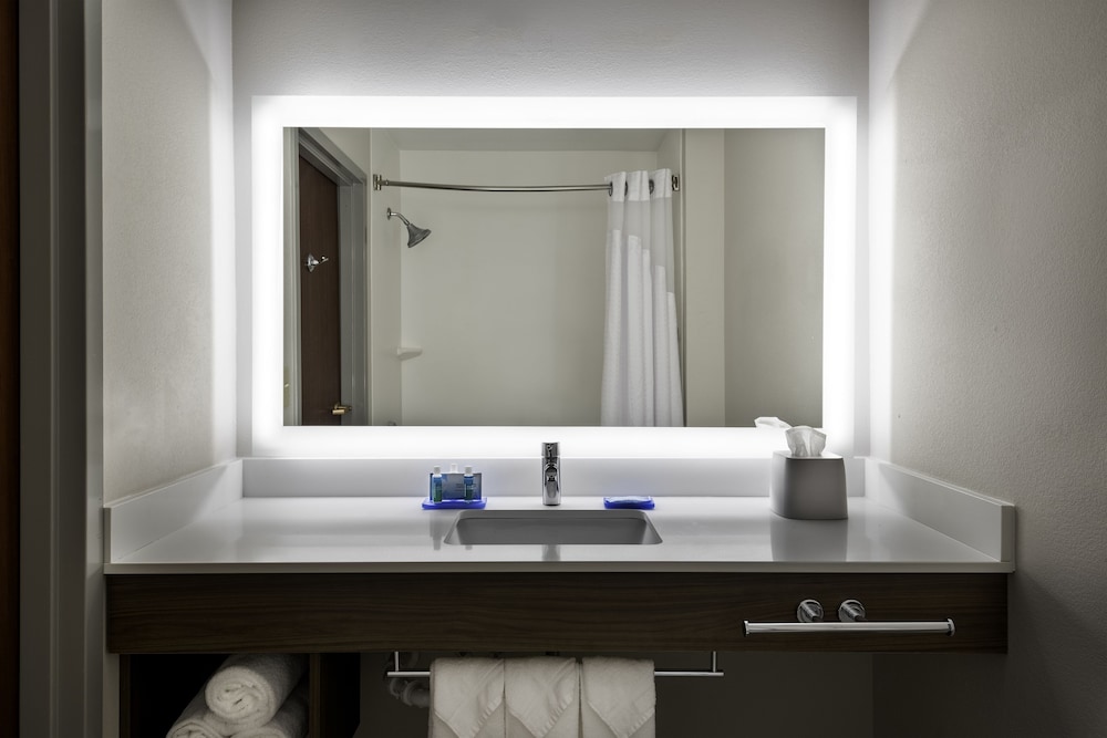 Suite, 1 King Bed - Photo 4