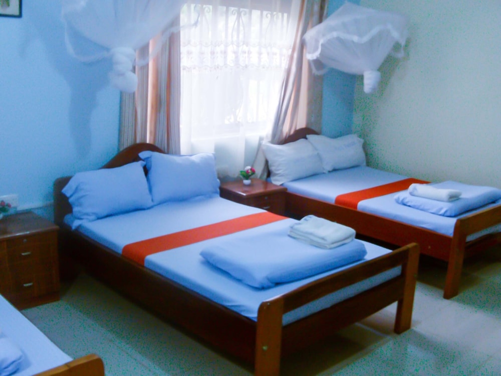 Basic Twin Room photo 1