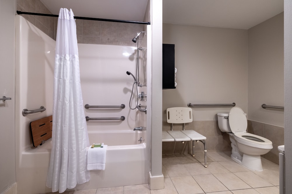 1 Double Bed Accessible photo 2