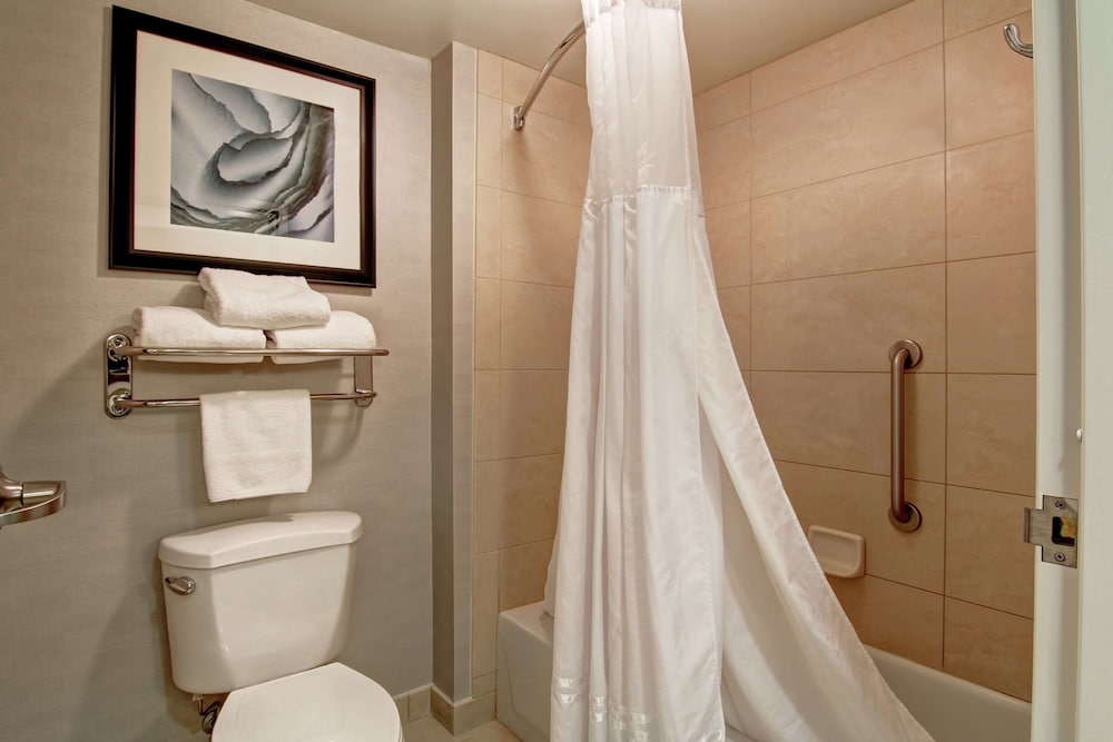 Suite, 1 King Bed - Photo 6