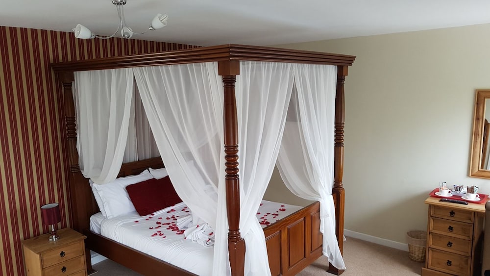 Room (King) photo 2