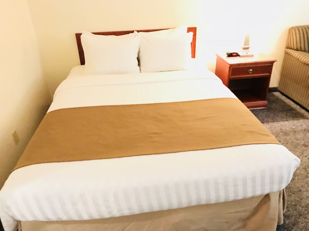 Business Suite, 1 Queen Bed photo 3