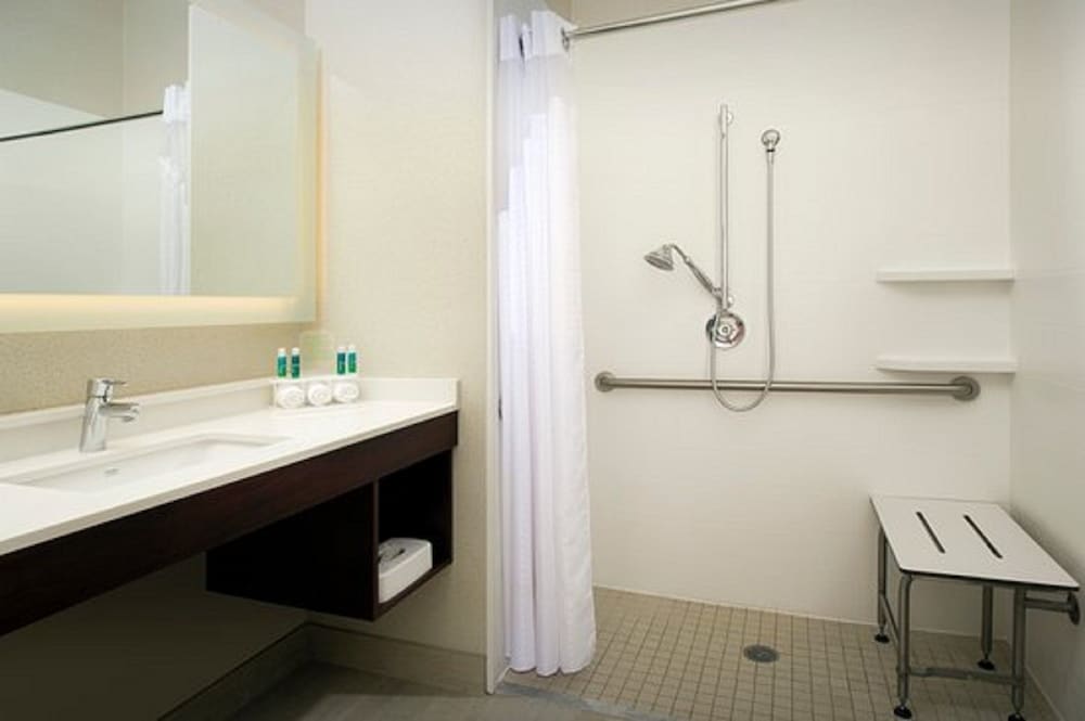 Room, Accessible (Roll-In Shower) - Photo 4