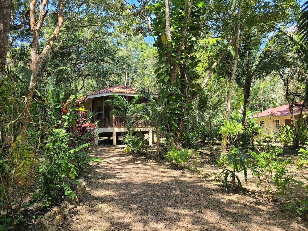 Romantic Cabin, 1 King Bed, Balcony, Garden View photo 2