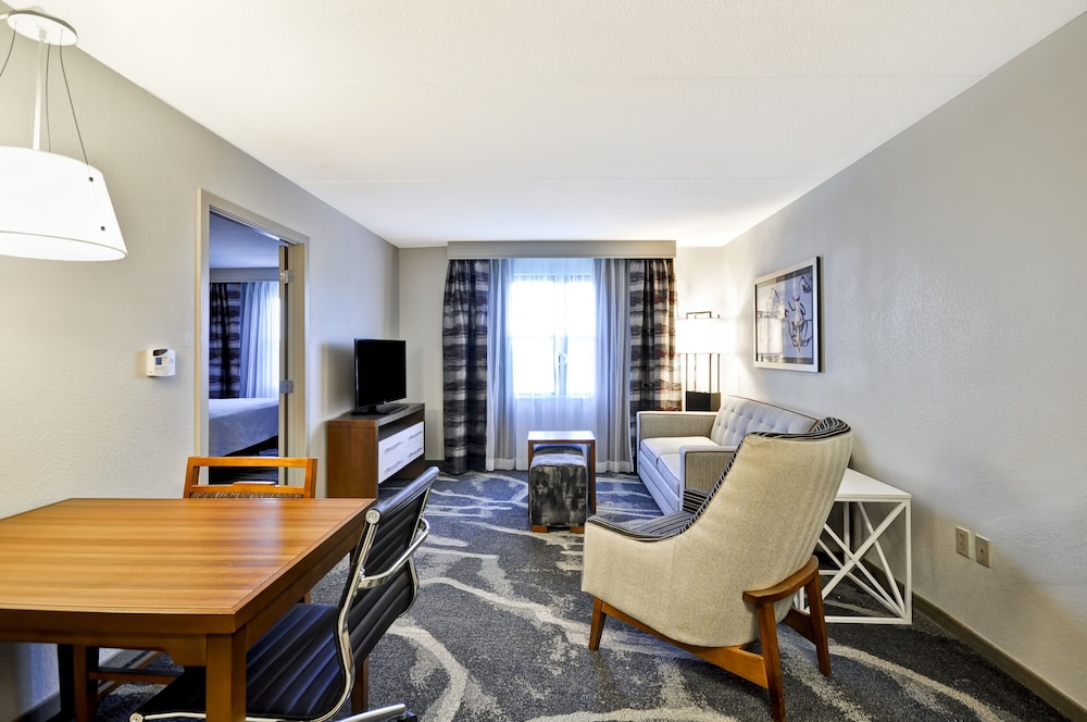 Suite, 1 King Bed with Sofa bed photo 3