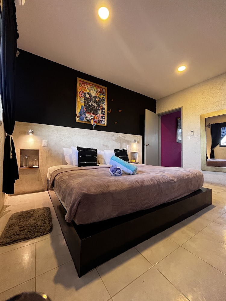 Exclusive Studio Suite