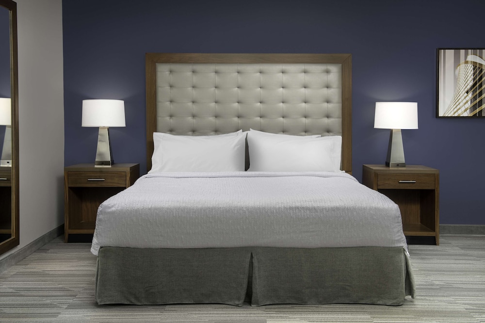 Studio, 1 King Bed, Accessible (Roll-In Shower) at Homewood Suites By Hilton Greenville, NC in Greenville