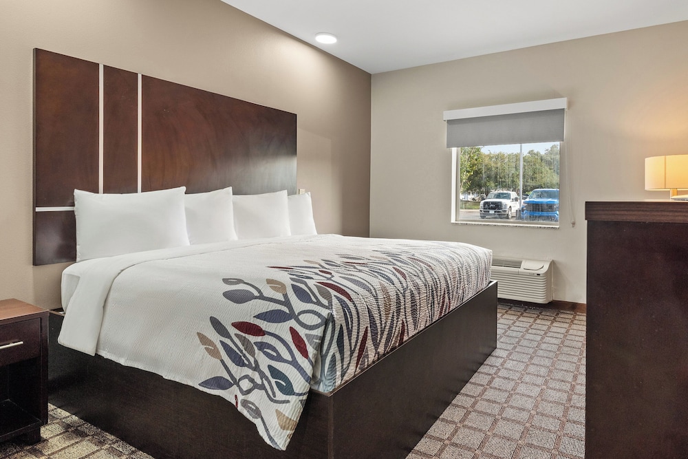 Superior Room, 1 King Bed, Non Smoking - Photo 1