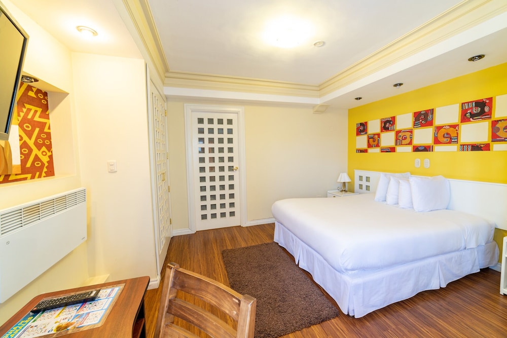 Executive Studio Suite photo 2