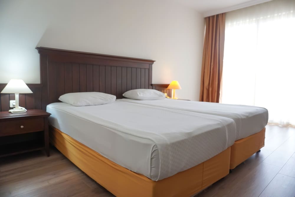 Single Room photo 1