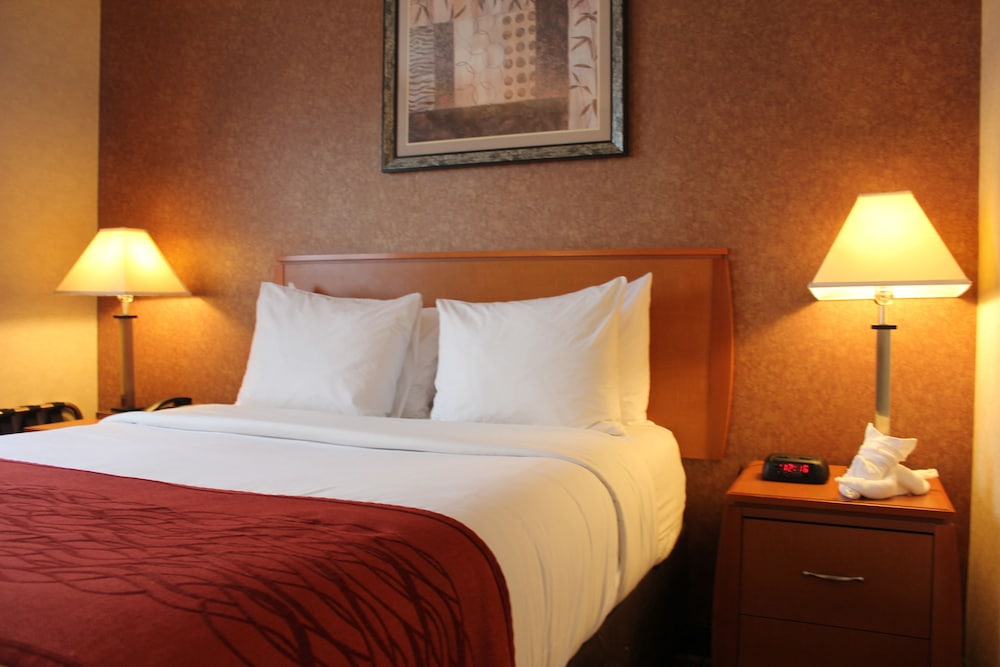 Standard Room, 1 Queen Bed, Non Smoking photo 1