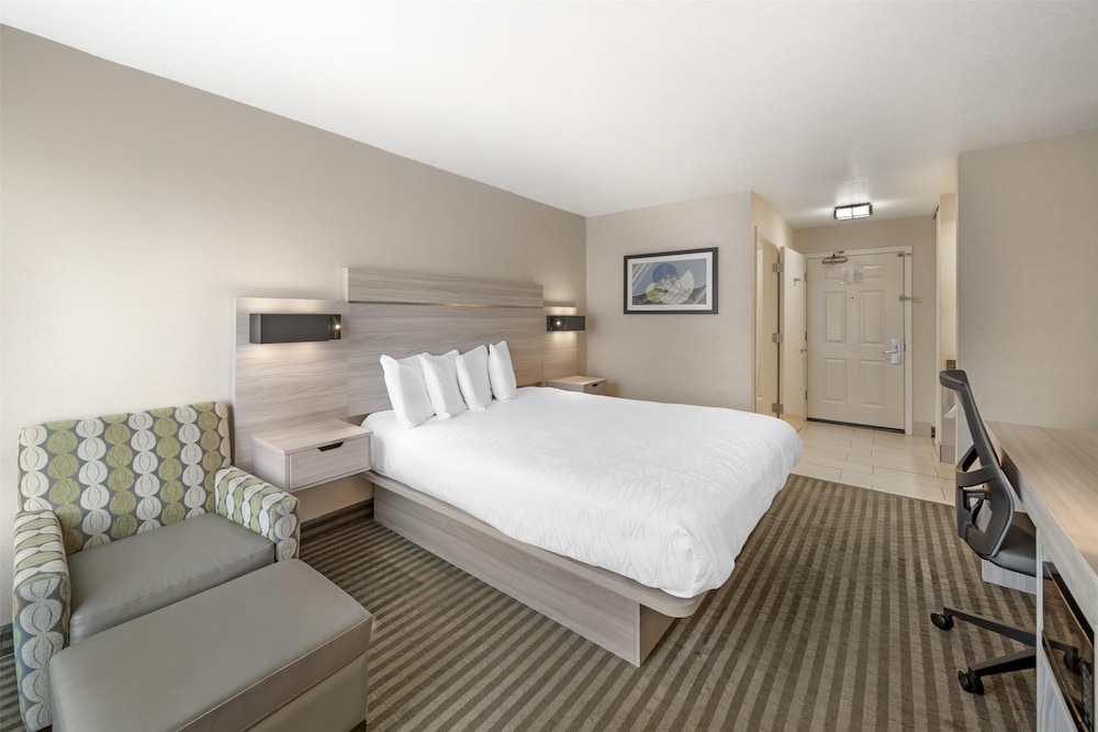 Standard Room, 1 King Bed, Non Smoking, Refrigerator & Microwave (Pet Friendly) - Photo 3