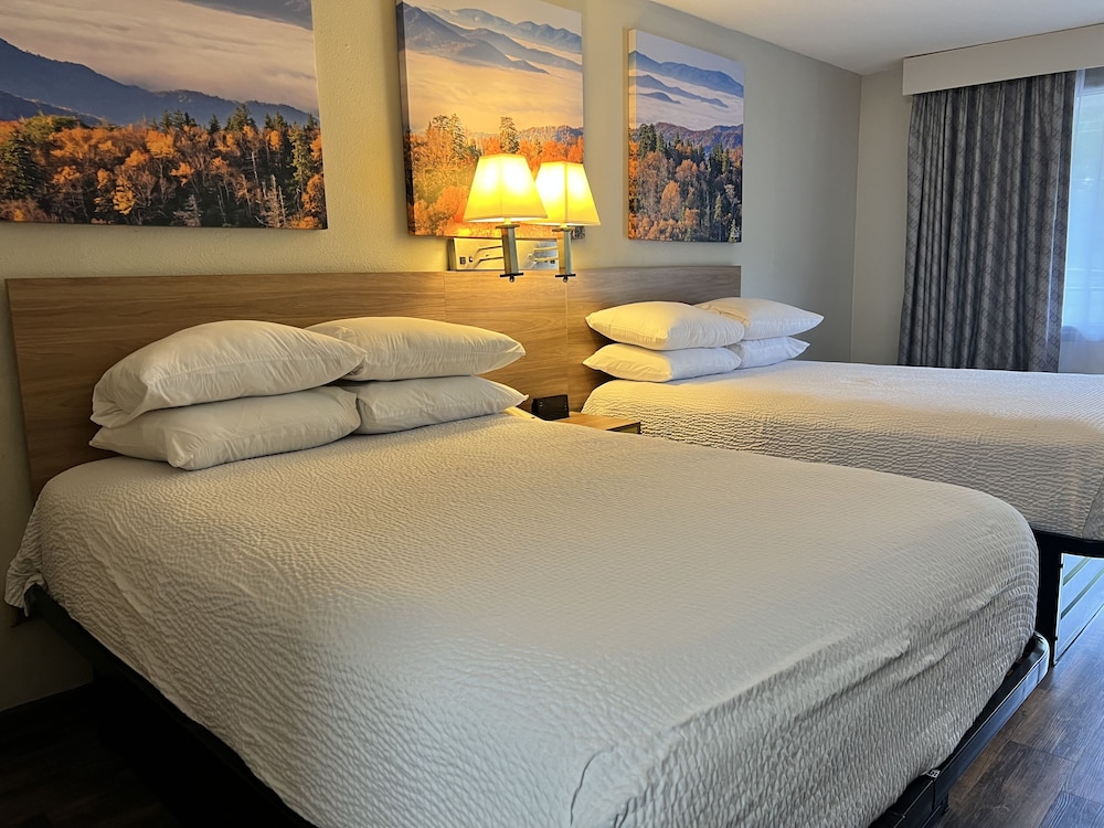 Double Room, 2 Double Beds - Photo 1