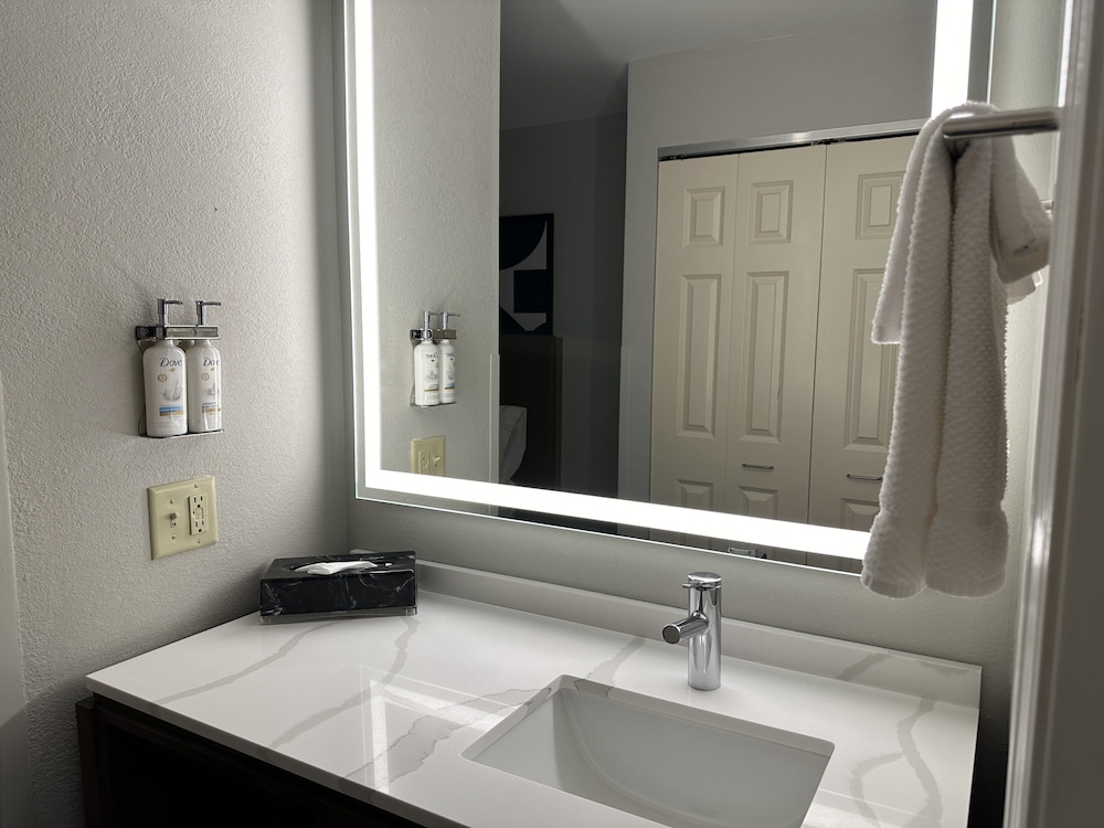 Suite, 1 Bedroom, Accessible, Kitchen (Communications) - Photo 12