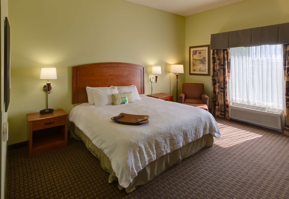 Room, 1 King Bed, Accessible, Non Smoking - Photo 4