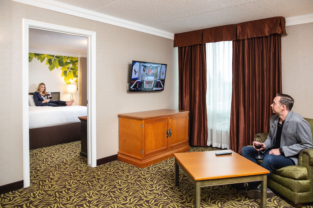 Suite, 1 King Bed - Photo 1