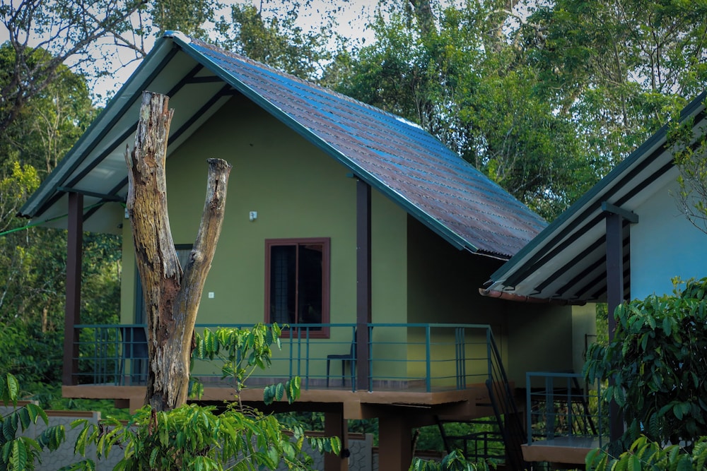 Deluxe Cabin