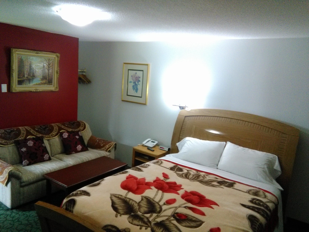 Room, 1 Queen Bed
