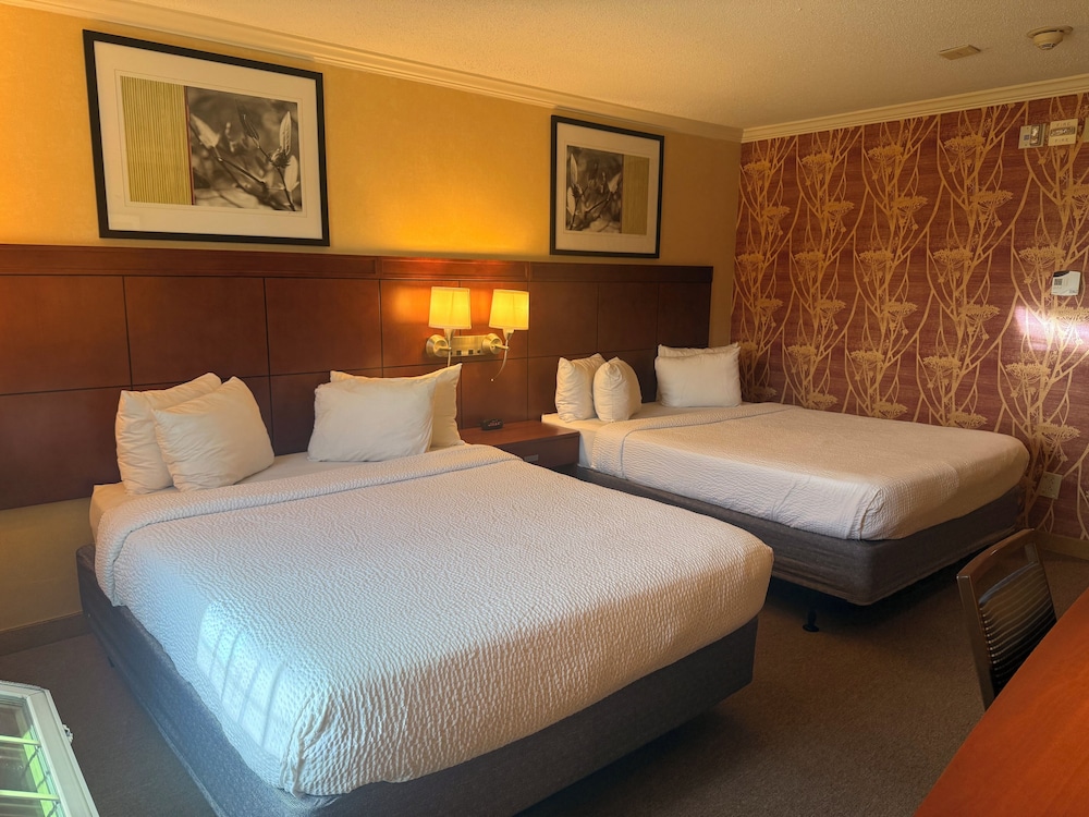 Deluxe Double or Twin Room photo 1