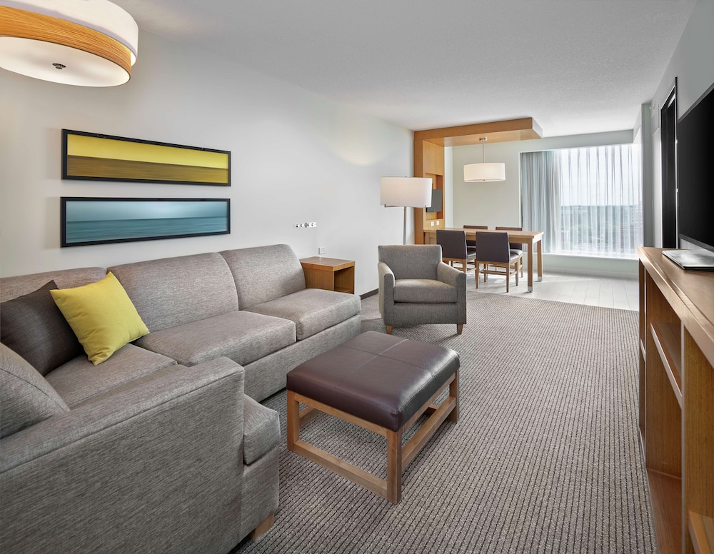 Suite, 1 Bedroom, River View, Kitchenette, 1 King Bed and Sofa bed (Double)