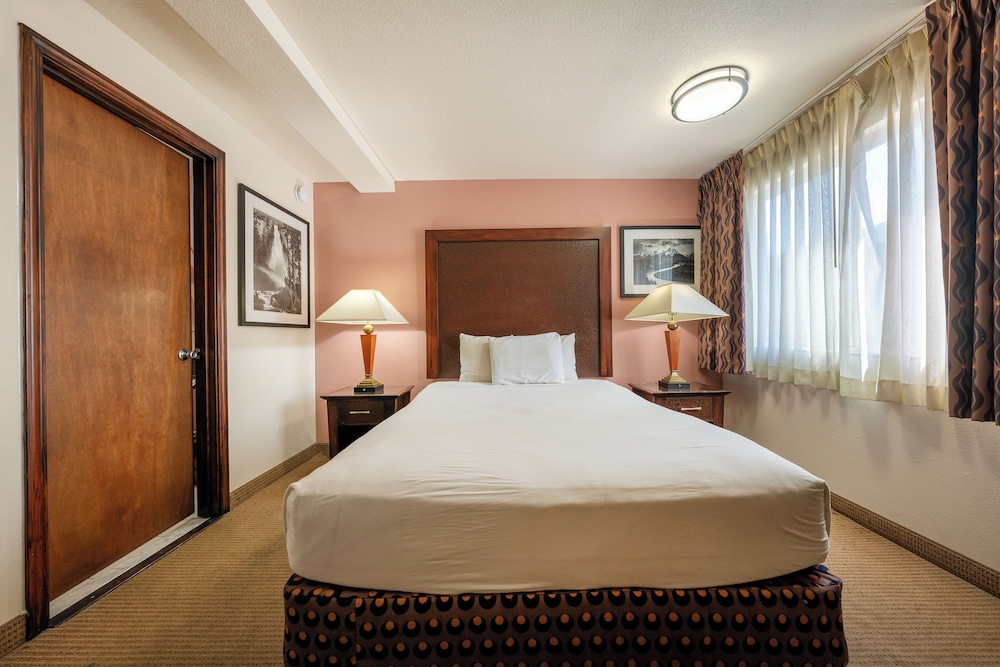 Room, 1 King Bed, Non Smoking