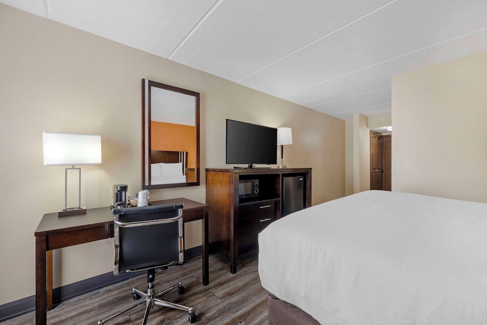 Standard Room, 1 King Bed, Accessible, Non Smoking photo 3