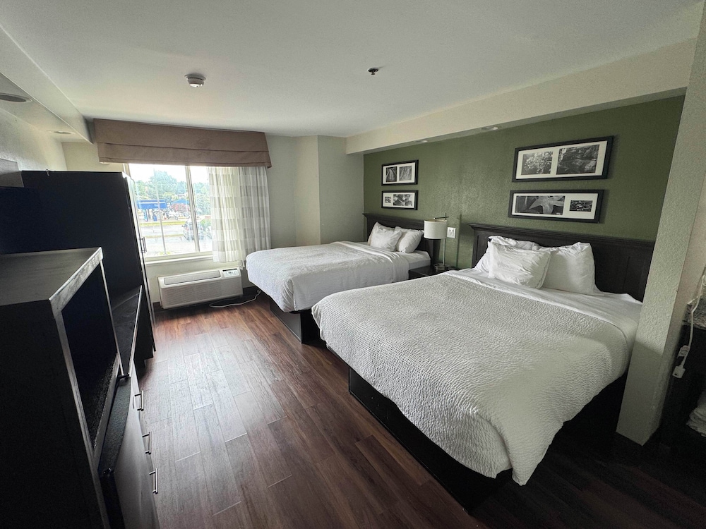 Standard Double Room, 1 Double Bed, Non Smoking, City View photo 1