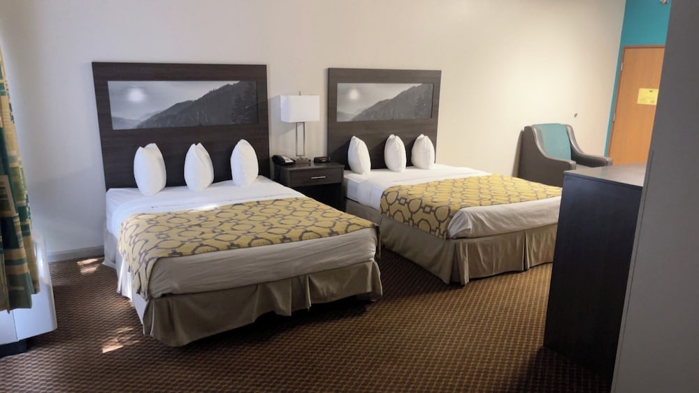 Deluxe Studio Suite, Multiple Beds, Non Smoking photo 3