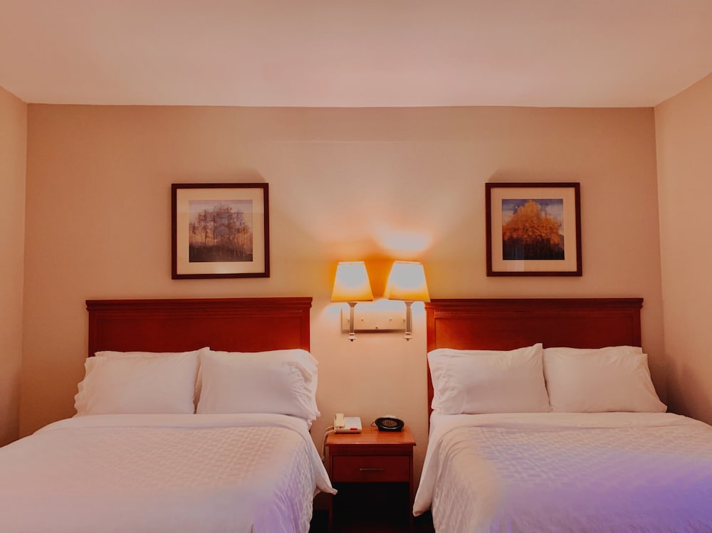 Studio Suite, 2 Double Beds, Non Smoking - Photo 6