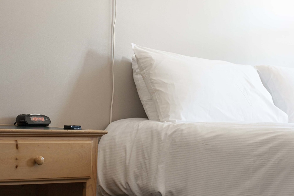 Classic Room, 1 King Bed with Sofa bed photo 2