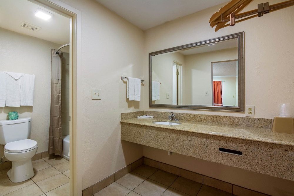 Standard Room, 1 King Bed, Non Smoking, Refrigerator & Microwave - Photo 9