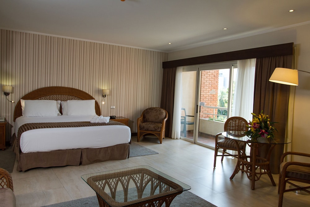 Suite - Photo 1