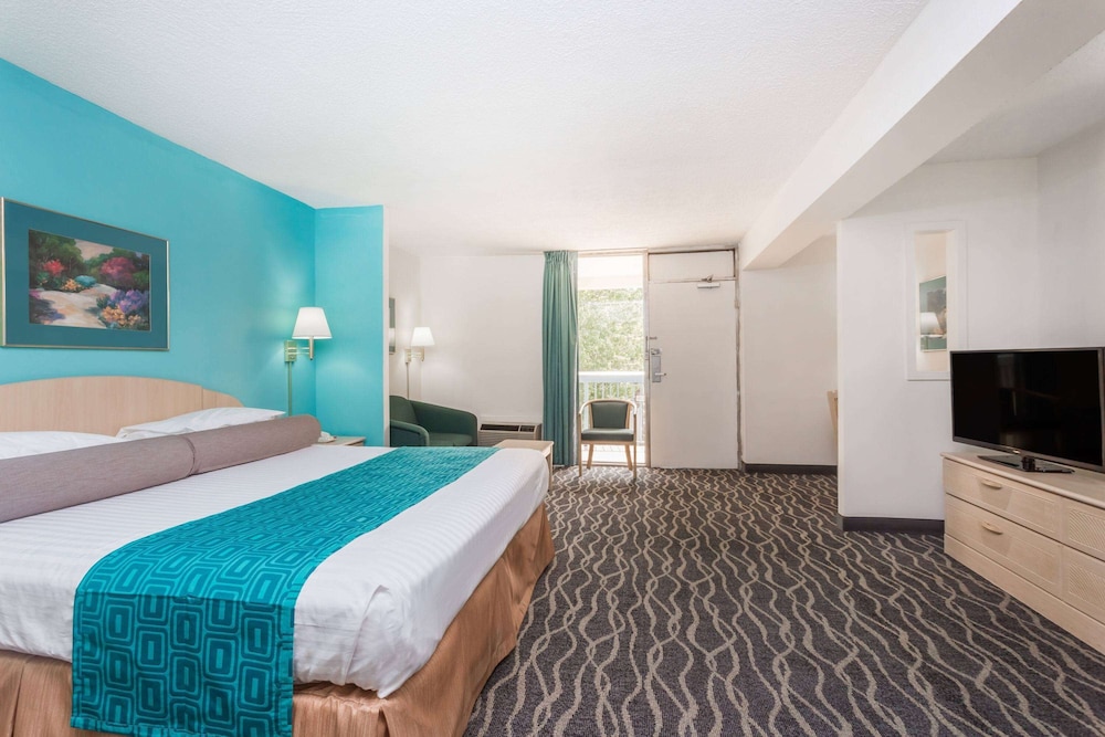 Studio Suite, 1 King Bed photo 1