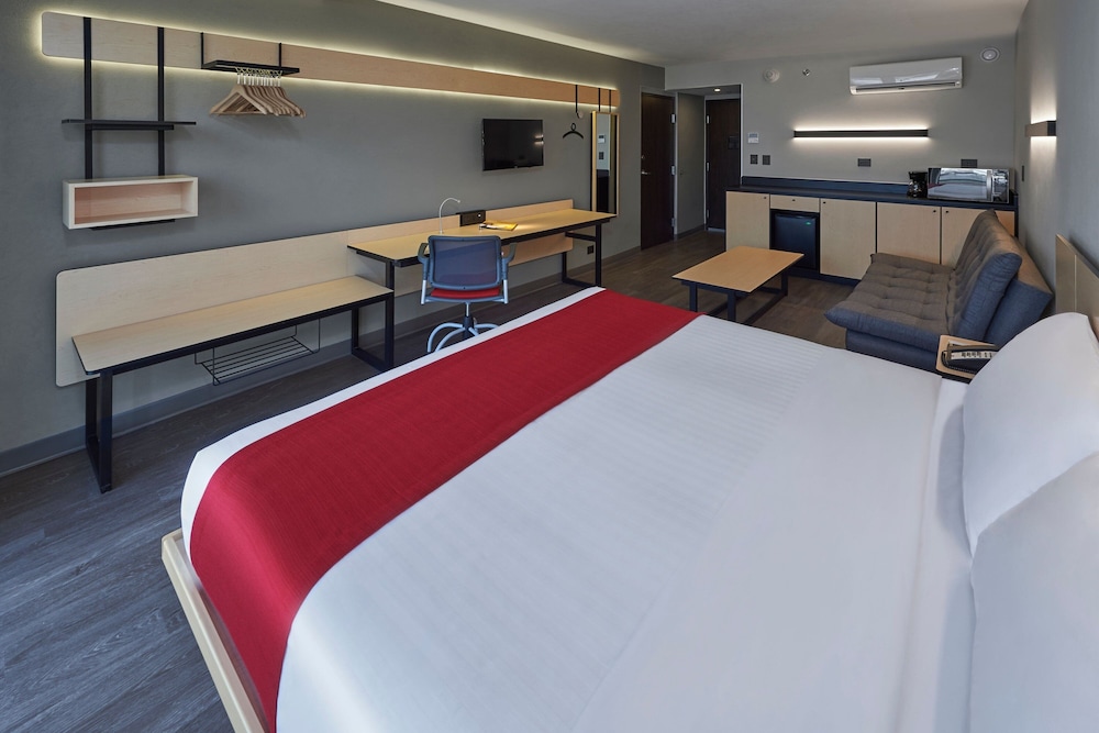 Suite, 1 King Bed with Sofa bed