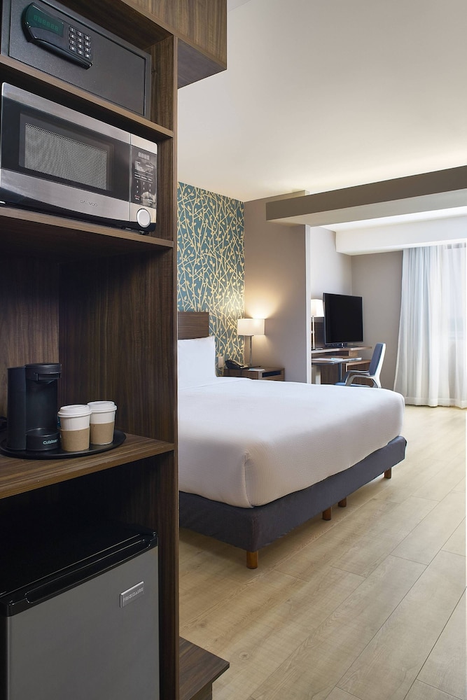 Suite, 1 King Bed photo 3