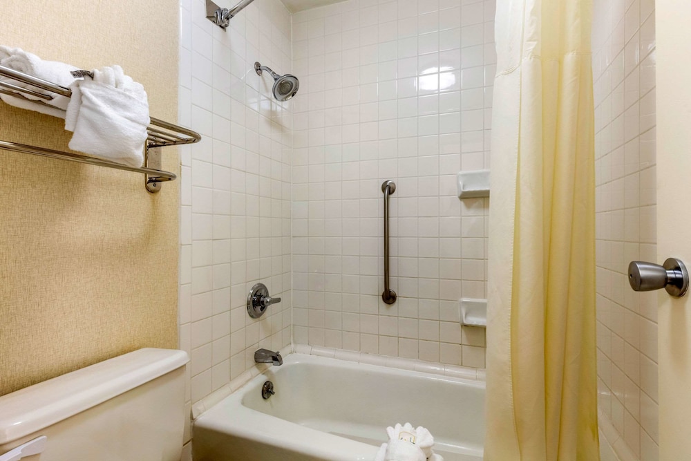 Standard Room, 1 King Bed, Smoking - Photo 13
