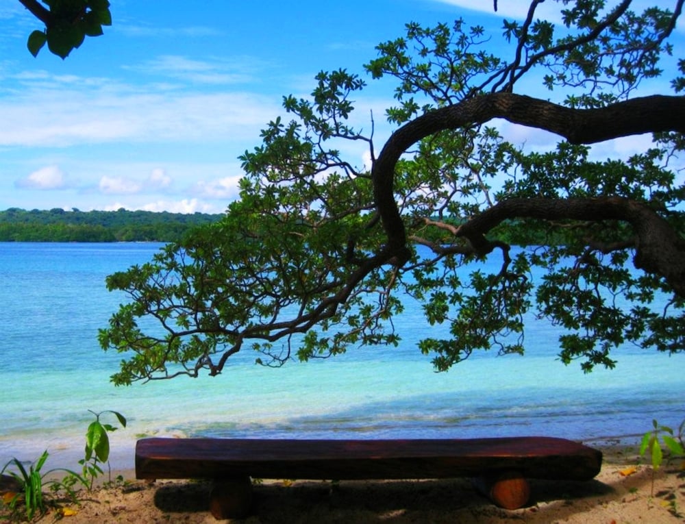 Beachfront Glamping Marquee photo 3