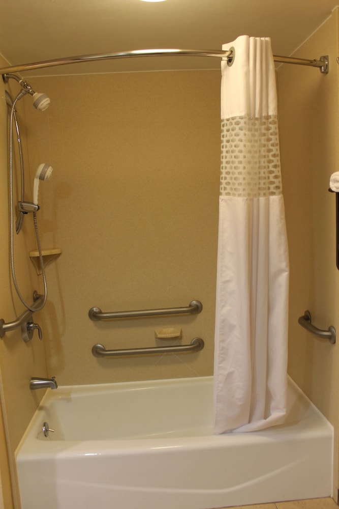Room, 1 King Bed, Accessible photo 3