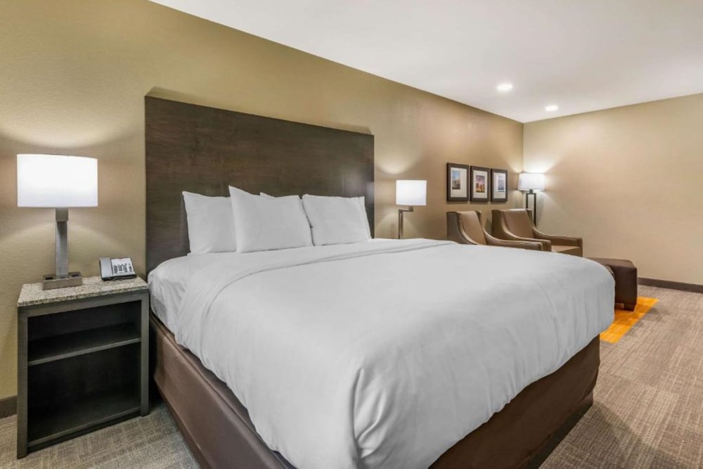 Standard Room, 1 King Bed, Accessible, Refrigerator & Microwave (Refrigerator & Microwave)